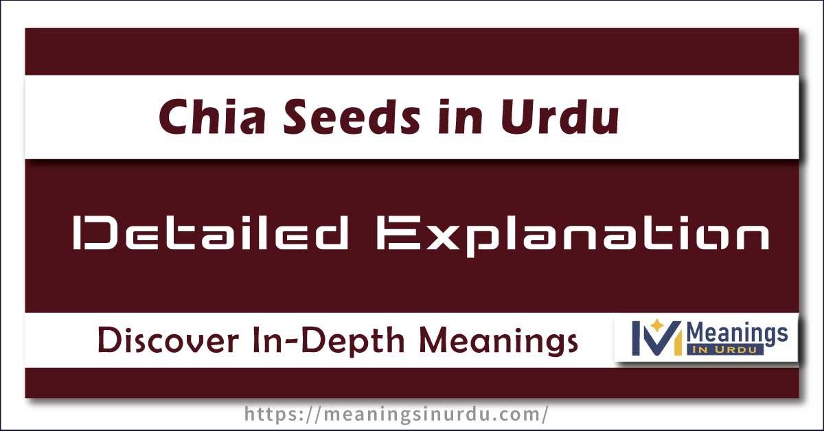 Chia Seeds in Urdu