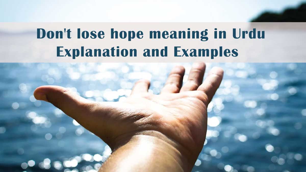 Don't lose hope meaning in Urdu: Explanation and Examples