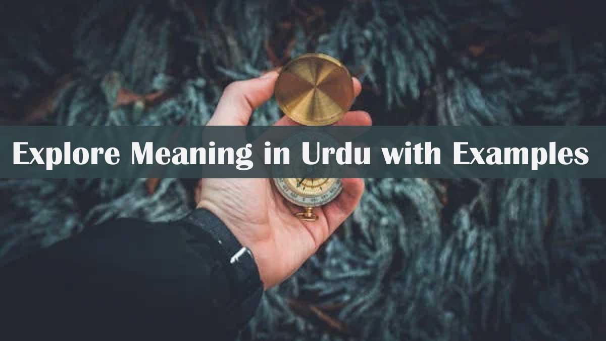Explore Meaning in Urdu with Examples