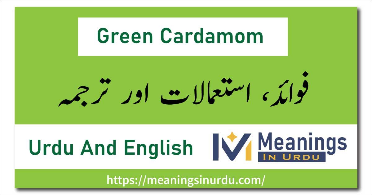 Green Cardamom Meaning in Urdu