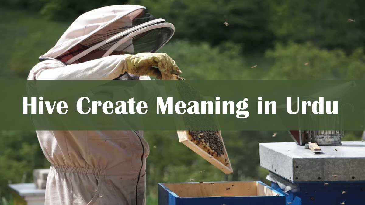 Hive Create Meaning in Urdu