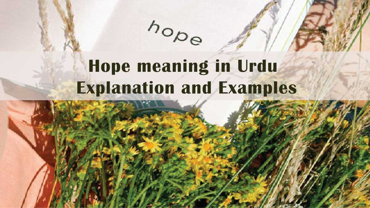 Hope meaning in Urdu: Explanation and Examples