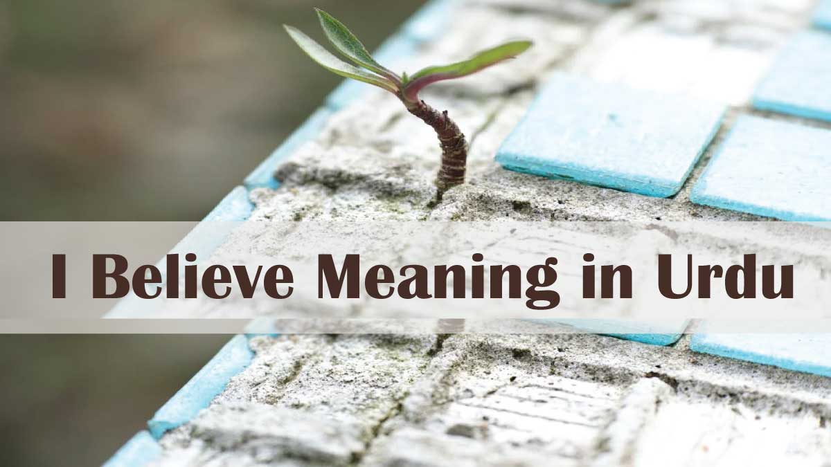 I Believe Meaning in Urdu