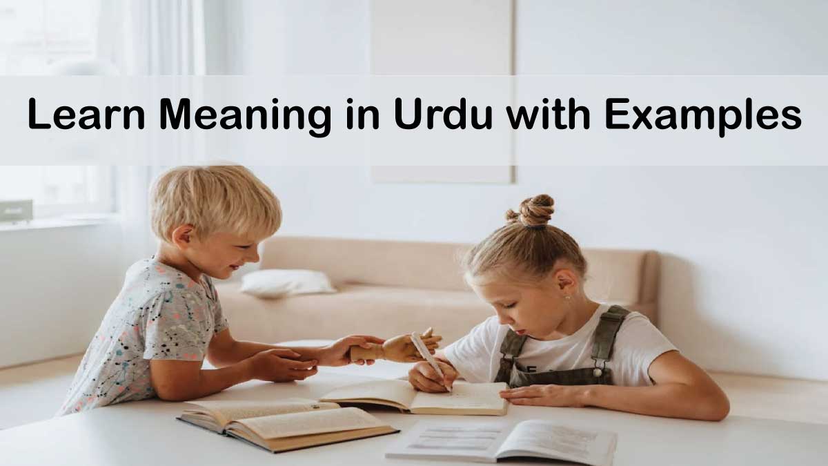 Learn Meaning in Urdu with Examples