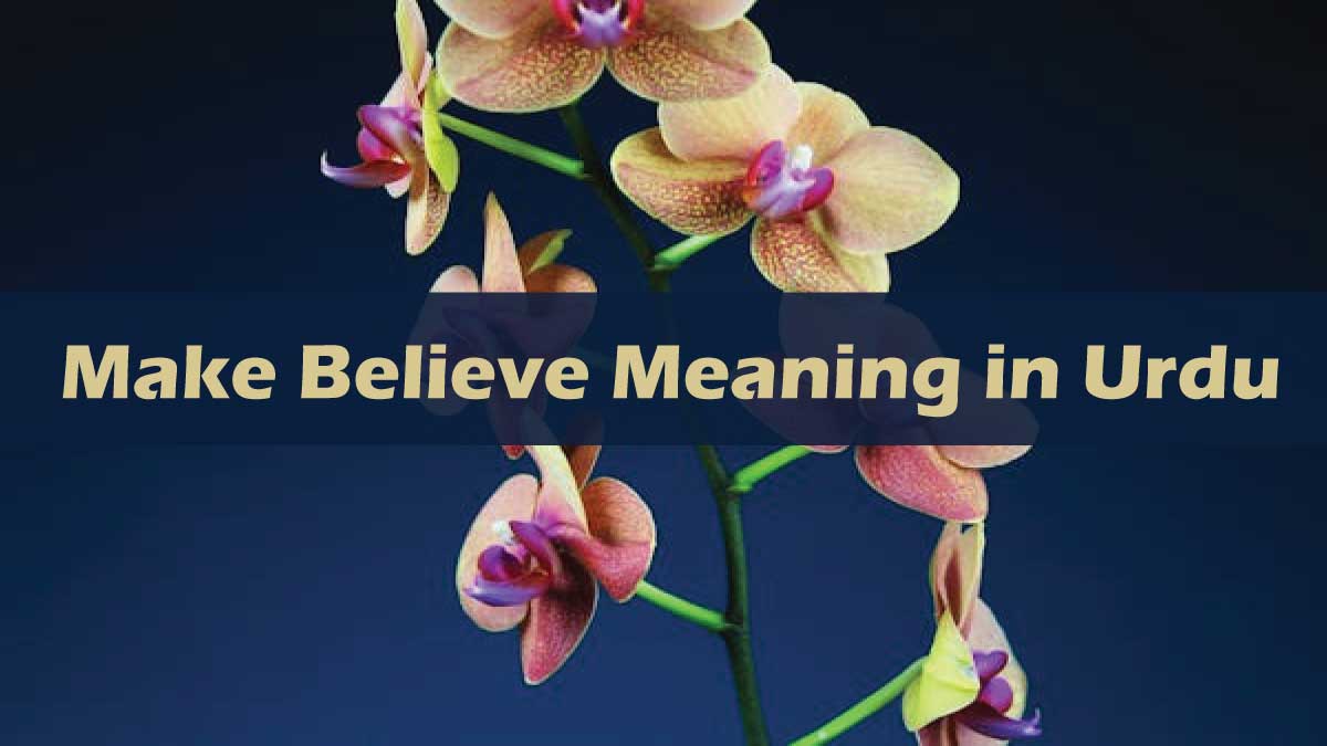 Make Believe Meaning in Urdu