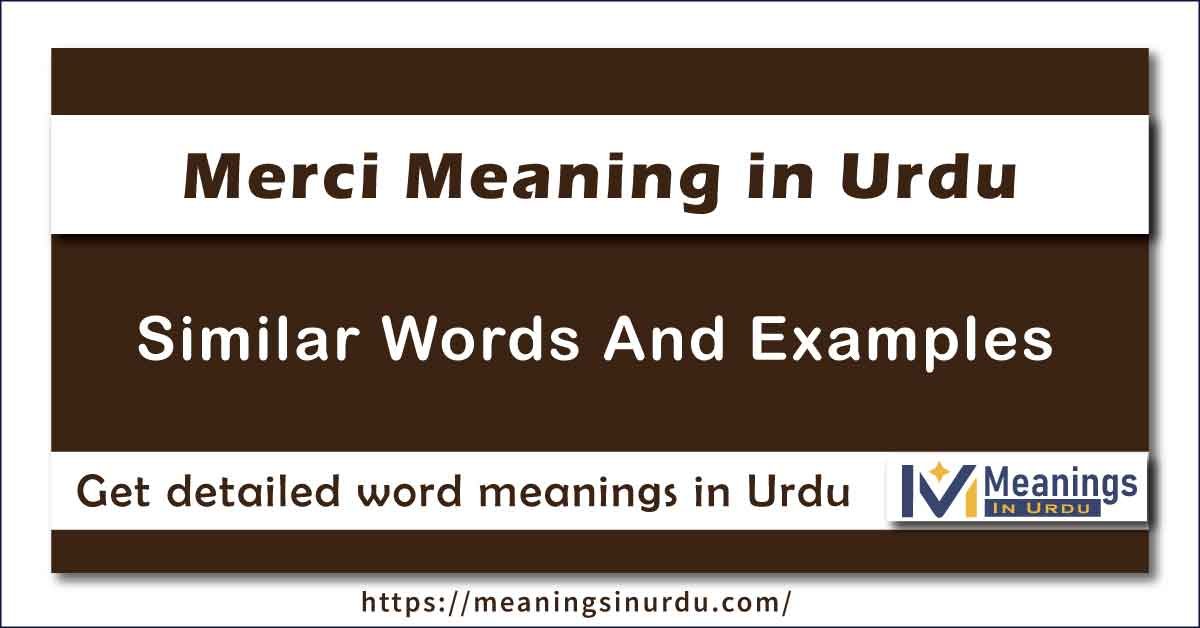 Merci Meaning in Urdu