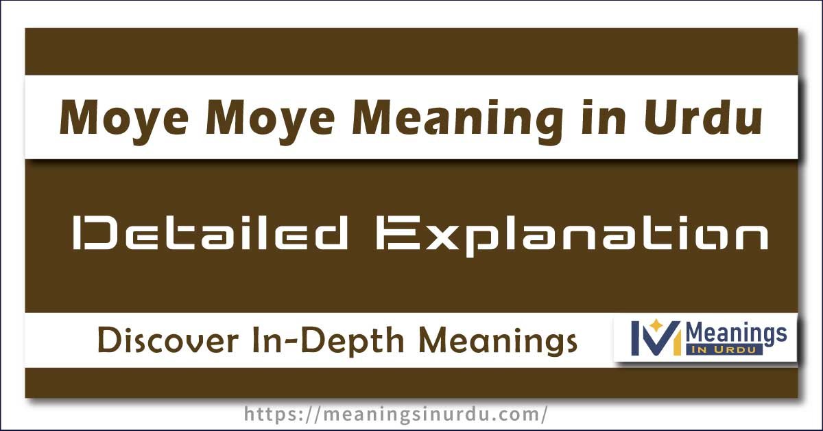 Moye Moye Meaning in Urdu