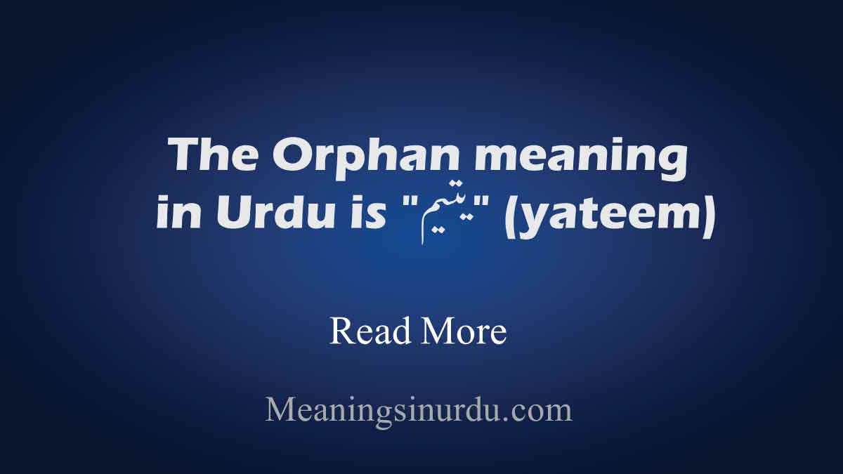 Orphan Meaning in Urdu