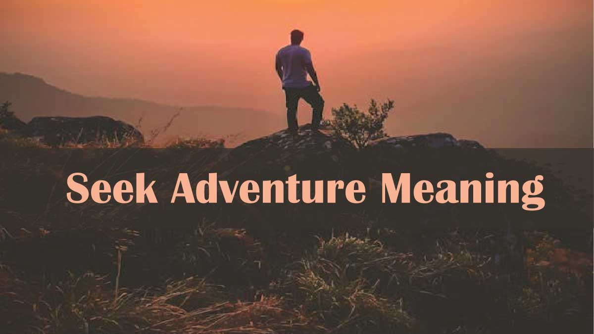 Seek Adventure Meaning
