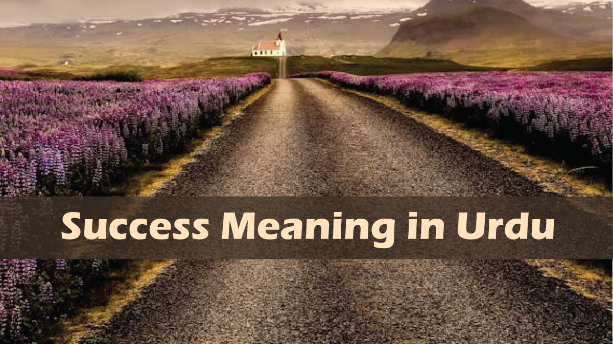 Success Meaning in Urdu