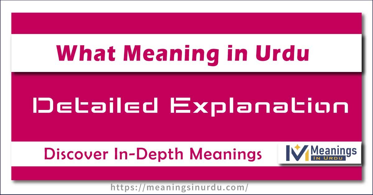 What Meaning in Urdu