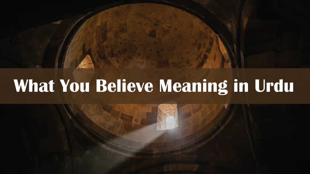 What You Believe Meaning in Urdu